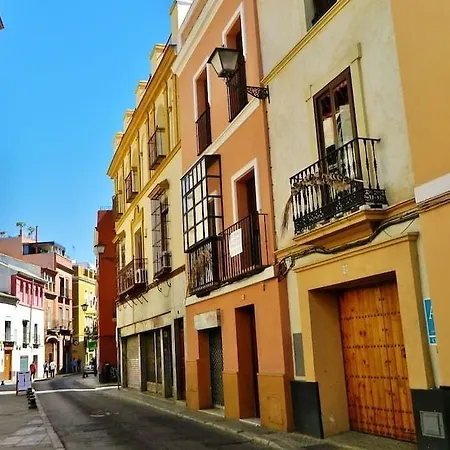 - Pleno Centro